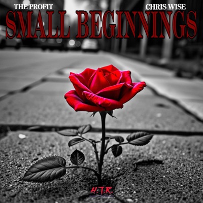 Small Beginnings (feat. Chris Wise) - Single