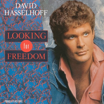 Looking For Freedom artwork