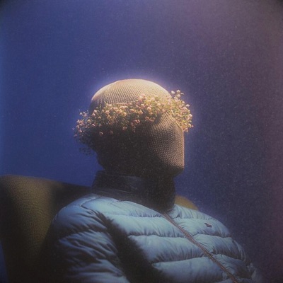 Finding Reasons - Single