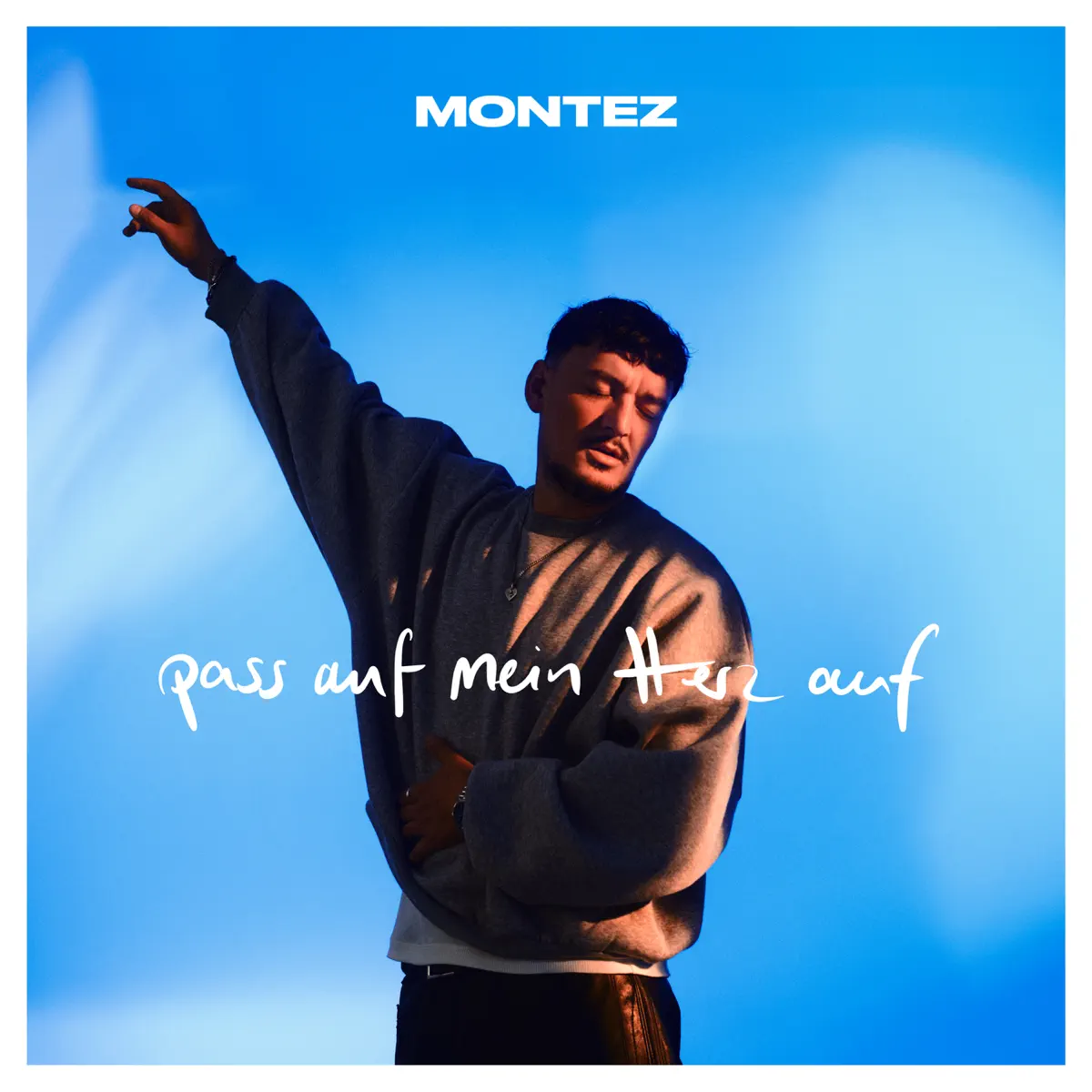 Montez - pass auf mein herz auf (2024) [iTunes Plus AAC M4A]-新房子