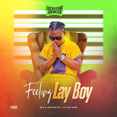 Feeling Lay Boy - Single