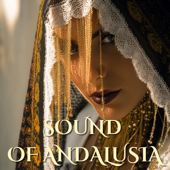 Sound of Andalusia (DJ Mix)