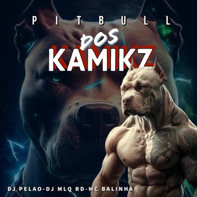 Pitbull dos Kamikz (feat. DJ MLQ RD) - Single