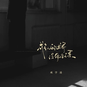 成年人的世界没有谁不累 - Single