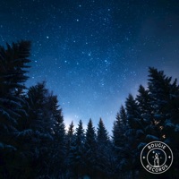 Silent Moments - Single - Dark Winter & awaikaze