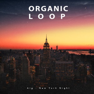 New York Night - Single