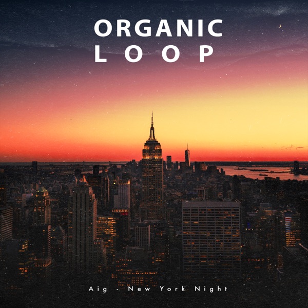 New York Night - Single