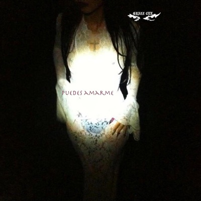 Puedes Amarme - Single