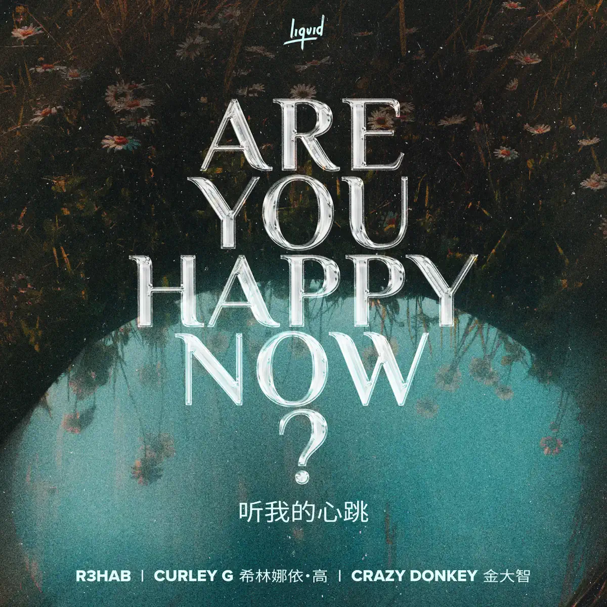 R3HAB, 希林娜依高 & Crazy Donkey - Are You Happy Now / 听我的心跳 - Single (2024) [iTunes Plus AAC M4A]-新房子