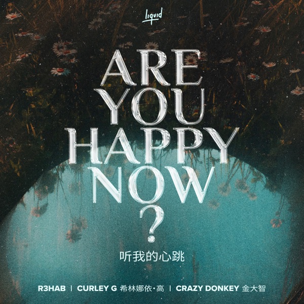 Are You Happy Now - Single
