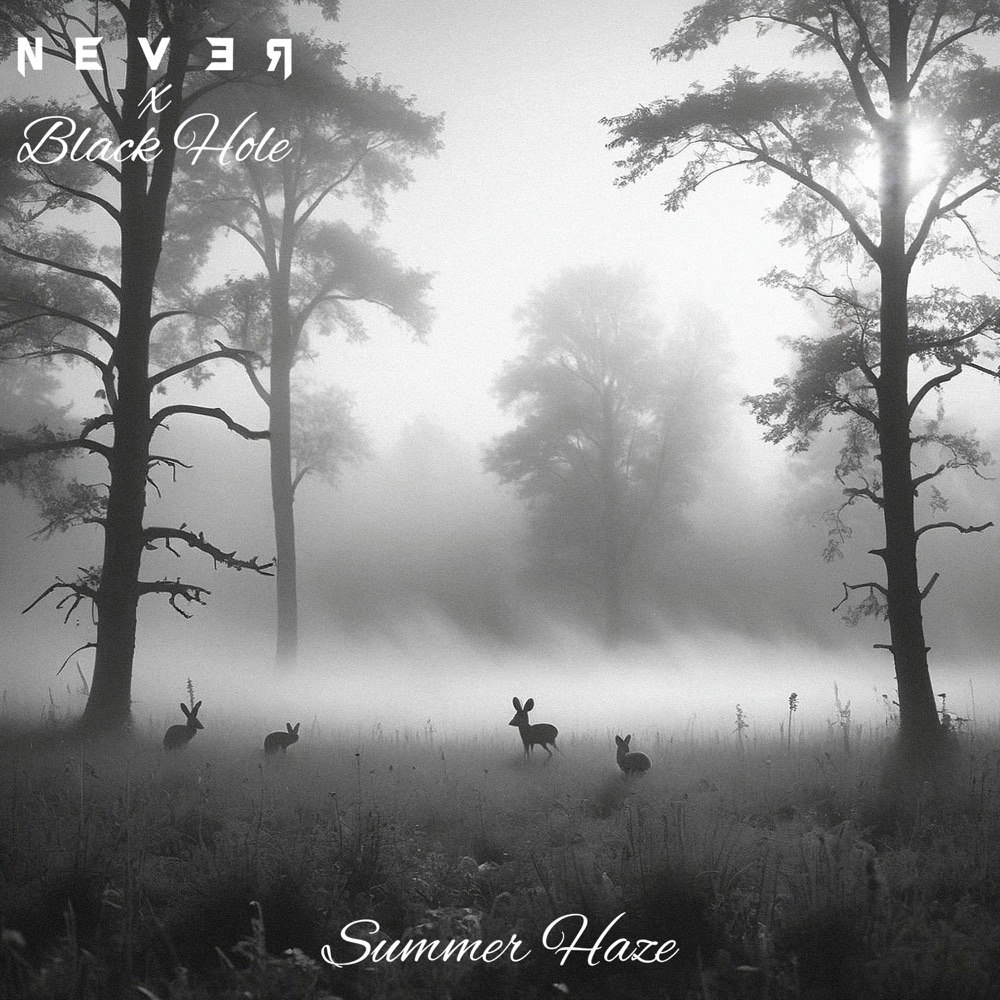 Обложка альбома «Summer Haze - Single» — Never & Black Hole