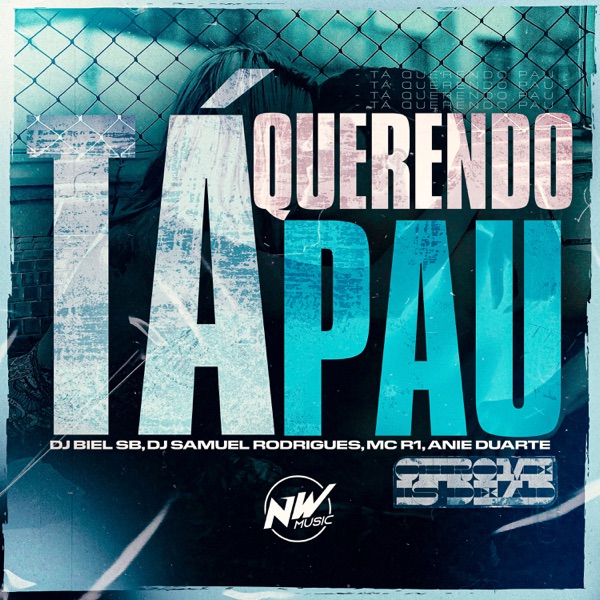 Ta Querendo Pau (feat. Anie Duarte)