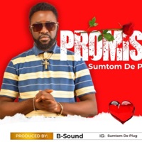 Promise - Single - Sumtom De Plug