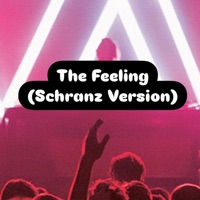 BASSUNA - The Feeling (Schranz) album artwork