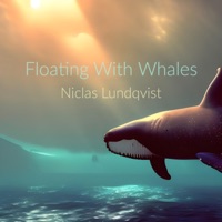 Floating With Whales - Single - Niclas Lundqvist