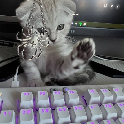 everydaysmoking - Single