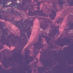 We Are Imaginary - Talk. Talk? Talk!