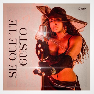 Se Que Te Gustó - Single