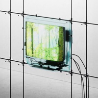 TEARDROPS - Single - Mild Minds