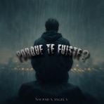 Porque te fuiste? (feat. Ángel V) - Single