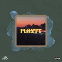 Plenty - Single - Lane Curtis