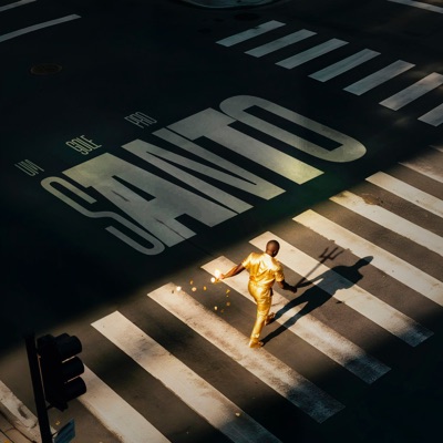 Um Gole Pro Santo - Single