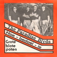 Hoe bedoel ie