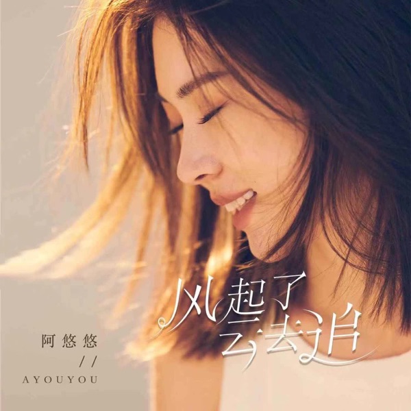 风起了云去追 - EP
