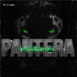 Pantera