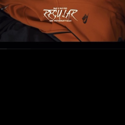 Regular (feat. SLE CEO) - Single