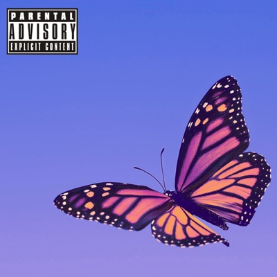 Butterflies (feat. DatRoo) [Remix] - Single
