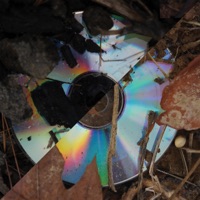 Orelia - Single