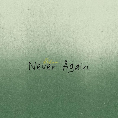 Never Again - Single