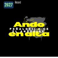 Ando en alta (feat. Ck el androide) - Single - Peñalokii