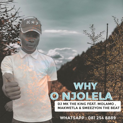 Why O Njolela - Single