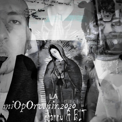 miO pOrvenir.2020 (feat. Bit & channy) - Single