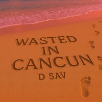 Wasted in Cancun - Single - DSAV