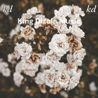 Bare tlogetxi (feat. Freezer & Spitjero) - Single - Dizola 47