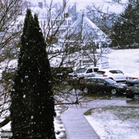 the end of december - lunie