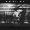 Feeling Alive