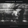 Feeling Alive