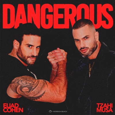 Dangerous (Radio Edit) [feat. Tzahi Musa] - Single