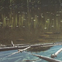 Chirper - Single - Sinnr & Gemp