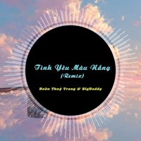 Tình Yêu Màu Nắng (Đại Mèo Remix) - Single - Đoàn Thúy Trang & BigDaddy