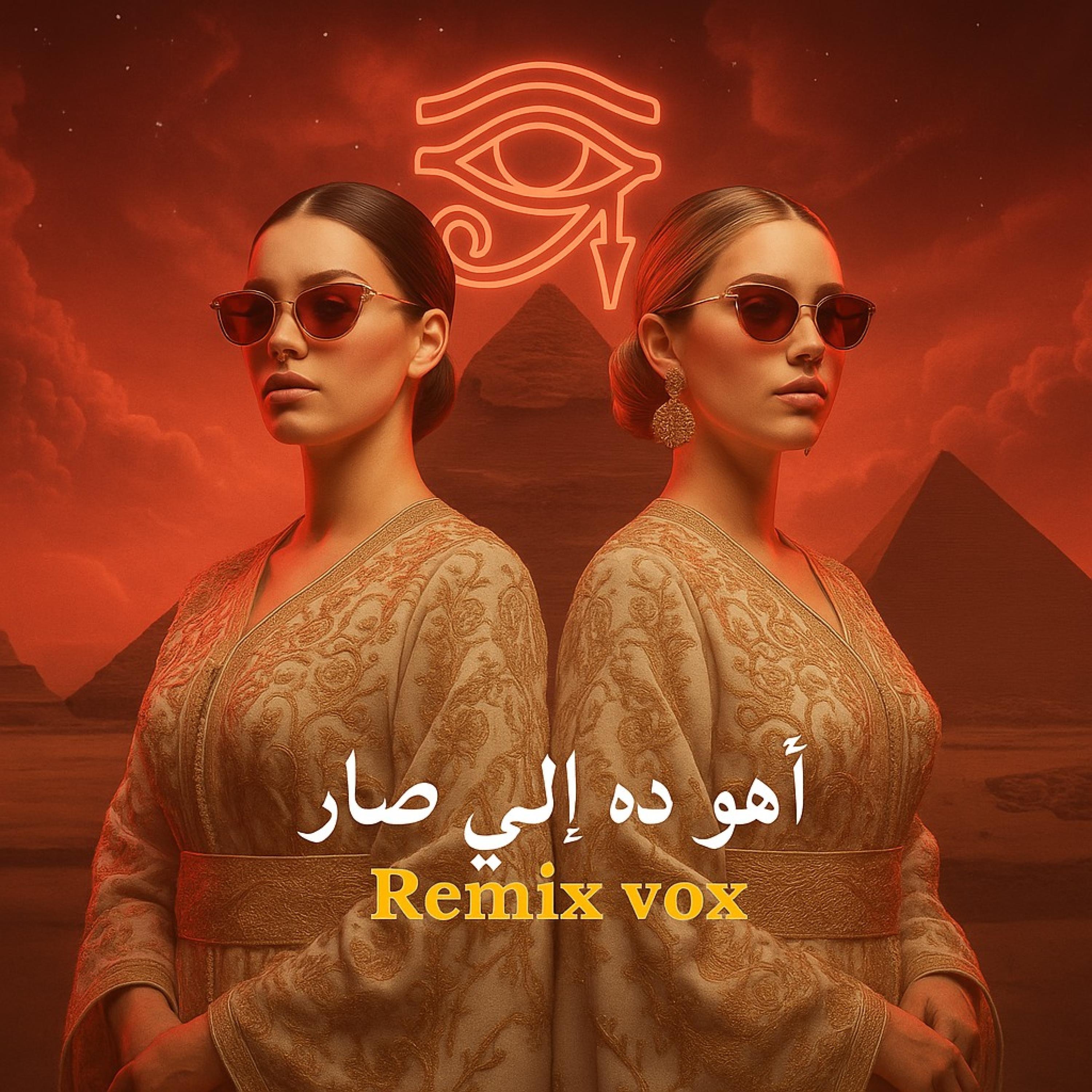 اهو ده اللي صار - Single