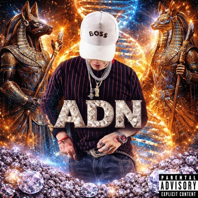 ADN - Single