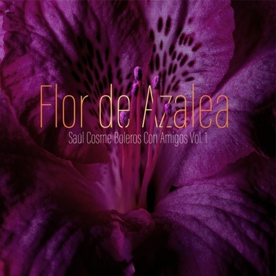 Flor De Azalea (Boleros Con Amigos Vol. 1) (feat. Haeun Joo, Daniel Prim & Matt Dwonszyk) - Single