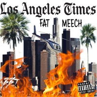 Los Angeles Times - Fat Meech