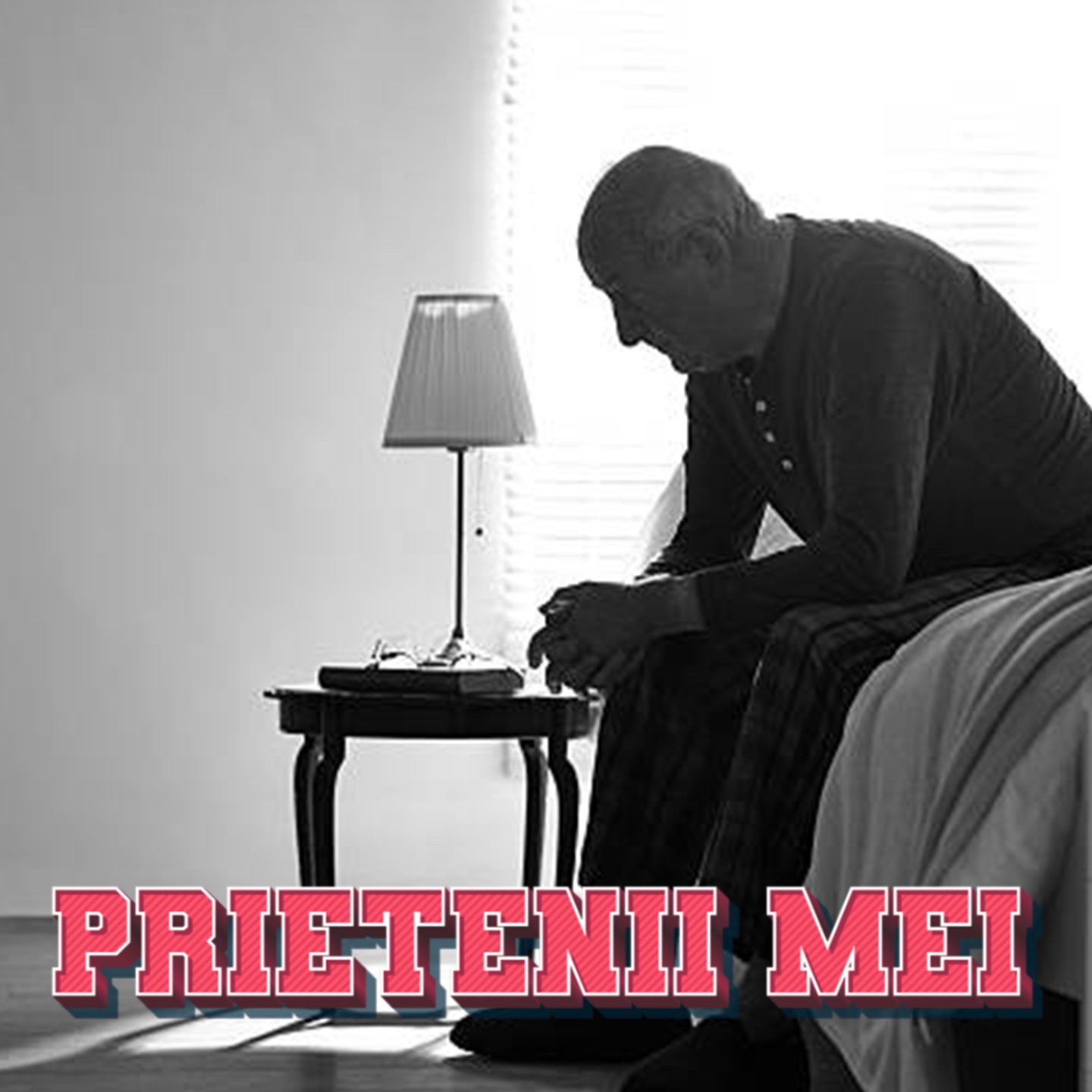 PRIETENII MEI - Single