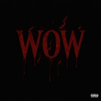 WOW - Single - Lapsty